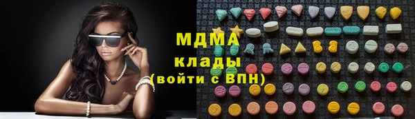 твердый Бородино