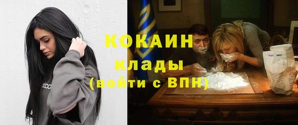 СК Бронницы