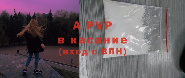 СК Бронницы