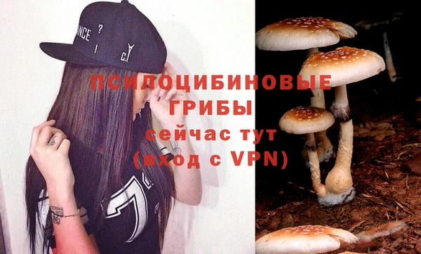 твердый Бородино