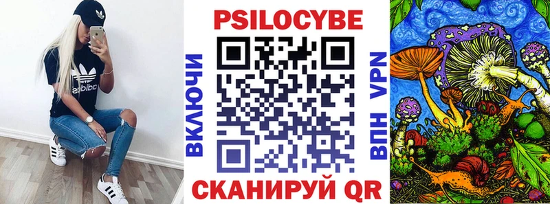 KRAKEN ссылки  где найти наркотики  Гай  Галлюциногенные грибы мицелий 