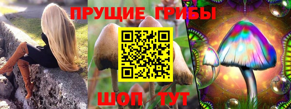 Псилоцибиновые грибы Magic Shrooms Гай