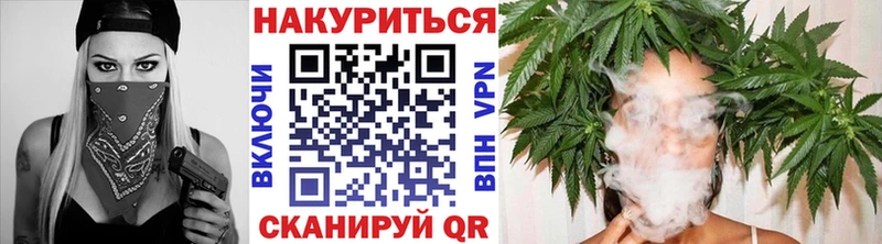 Марихуана планчик  Гай 